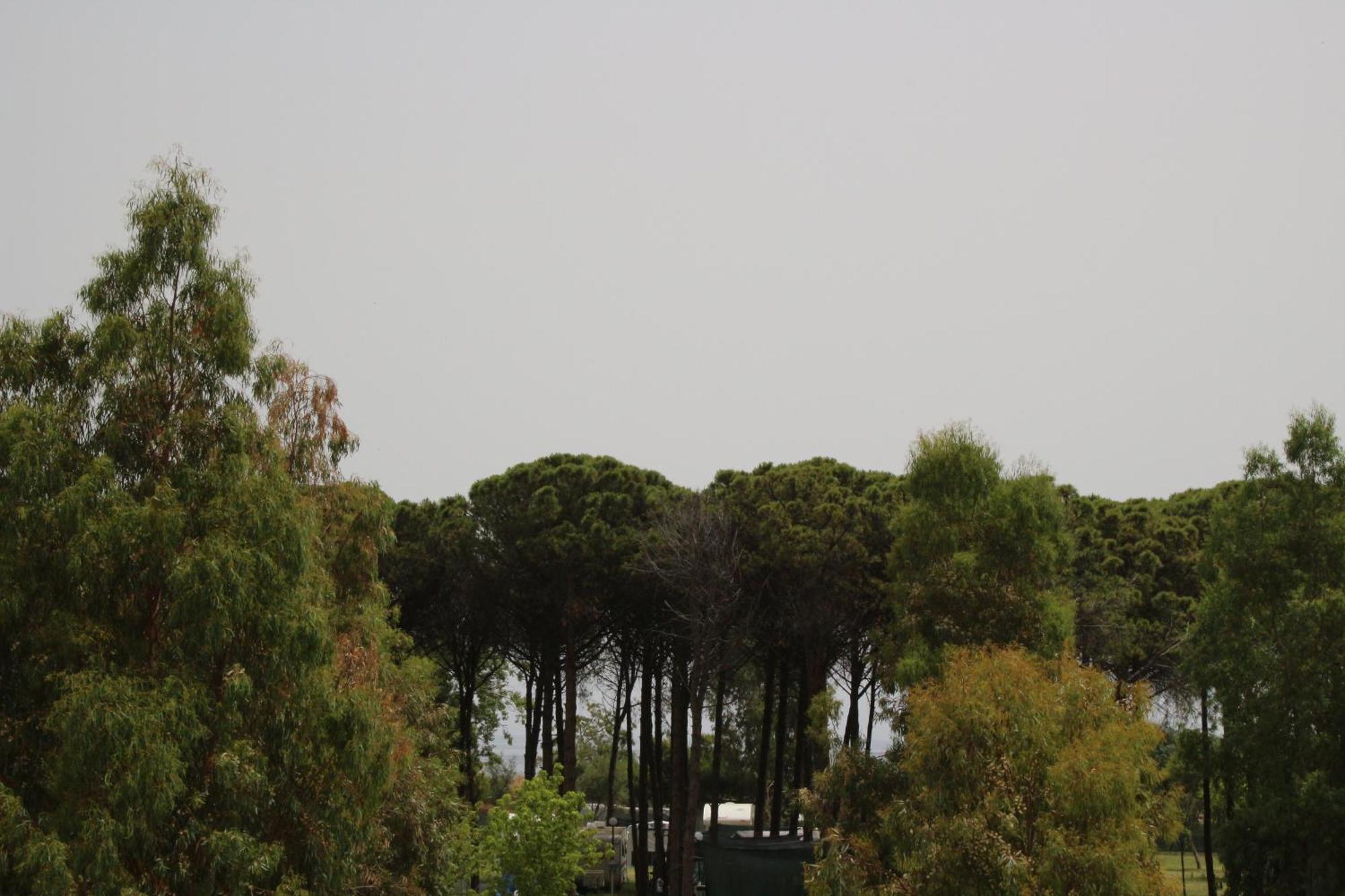 Levante Marina di Schiavonea Buitenkant foto